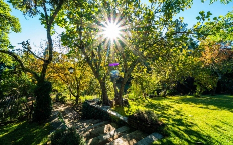 Steps from parking area to villa